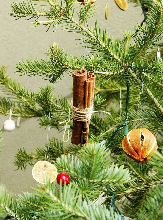 Найдите учебник для украшений для палочек с корицей.