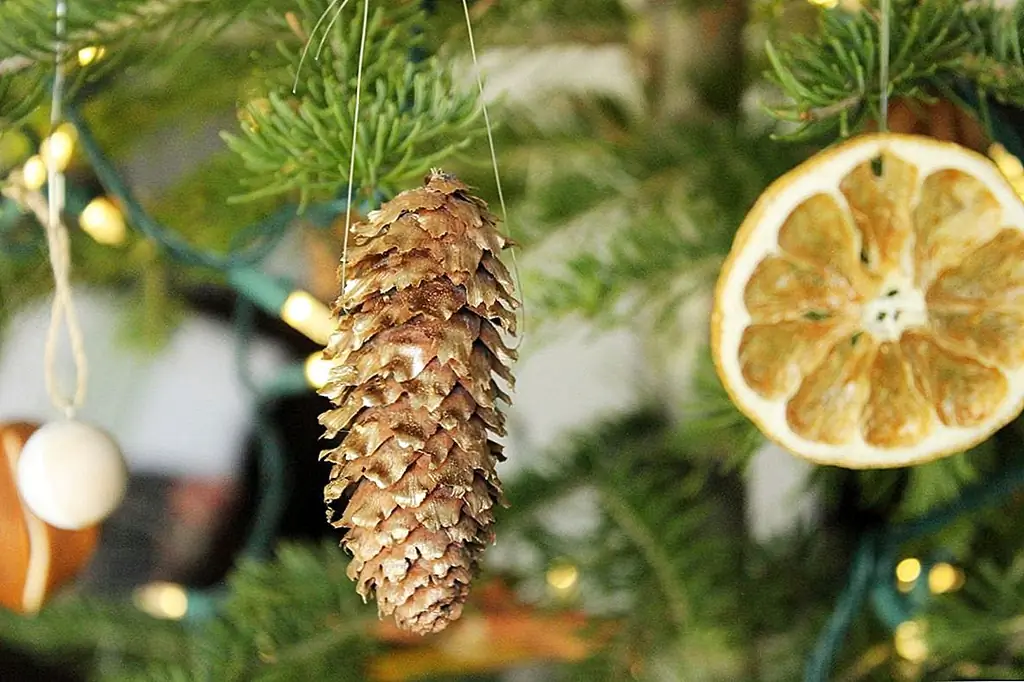 Найдите учебник для высушенных украшений цитрусовых ломтиков.