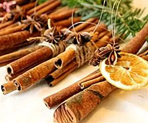 Украшения из натуральной елки DIY