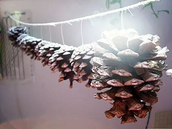 Это снежная свинцовая гирлянда. Чтобы сосновые шишки выглядели снежными, вам просто нужно распылить вершины белой краской для распыления. Не закрывайте их полностью, а просто распыляйте их сверху, чтобы получить более естественный вид. {Найден на craftopotamus}.