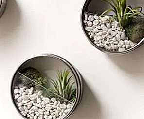 Прекрасные магниты для термометра DIY