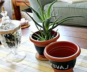 Планировщик классных досок DIY