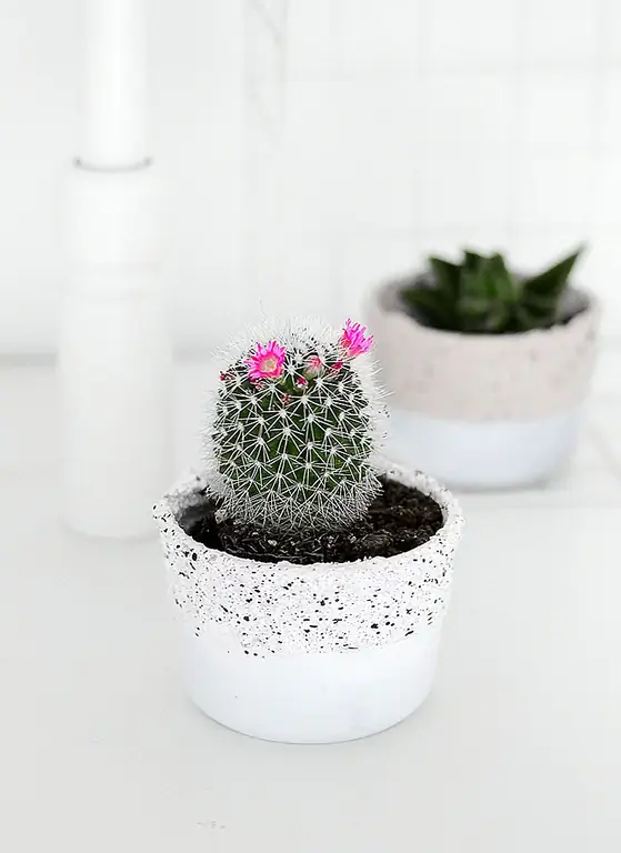 Новые растения, означает новый пост, и, поскольку я обожаю придумывать новые идеи, чтобы одеть их, вот отличный проект для вас. Я покажу вам, как вы можете превратить простые стеклянные чашки Ikea в эти DIY бетонные окунутые, множество восхитительных плантаторов. Надеюсь, ты им нравишься так же, как и я!