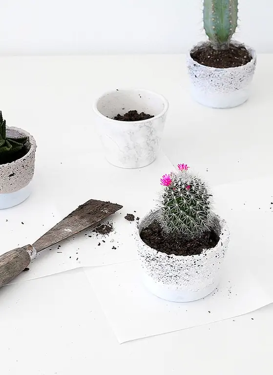 Ta daa!! Это оно! Когда ваши новые горшки готовы, поместите в них некоторые растения!