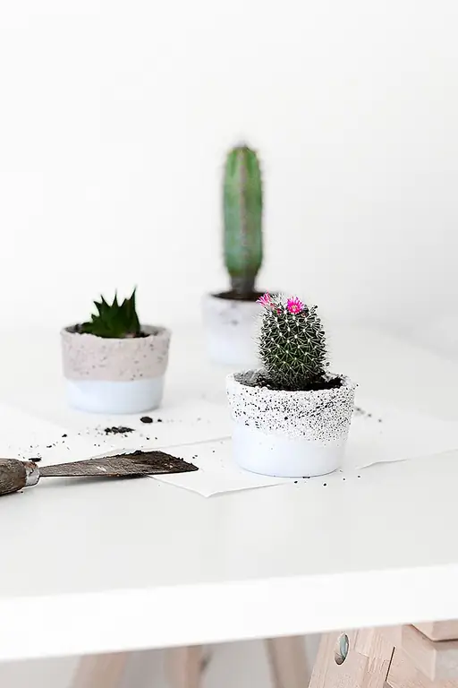 Маленькие стеклянные контейнеры Ikea в сажалки