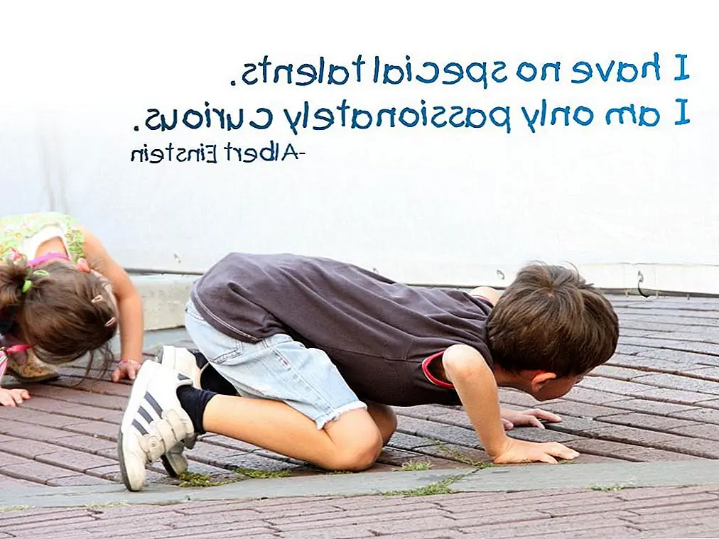 Архитекторы, как дети; Полная страсть и любопытство