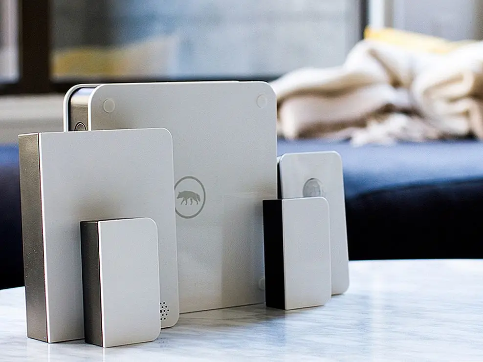 Скаутская разведка разыскивает свой дом за преступную деятельность, как собака-собака?