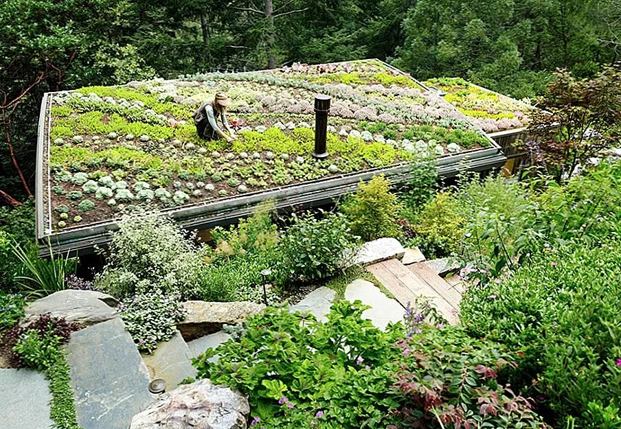 Сильное движение к социально сознательному дизайну. Источник изображения: архитектура Фельдмана