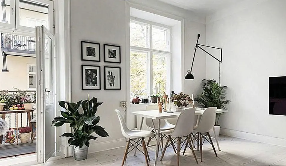 Растения могут добавить свежесть. Изображение: Скандинавские дома