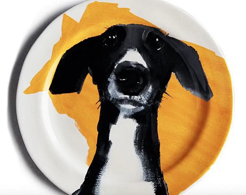 Песчаная десертная плитка Dog-a-Day от Салли Мьюир. Песчаная десертная плитка Dog-a-Day от Салли Мьюир.