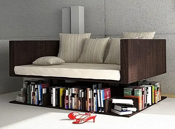 Необычный книжный шкаф с лебедящим диваном
