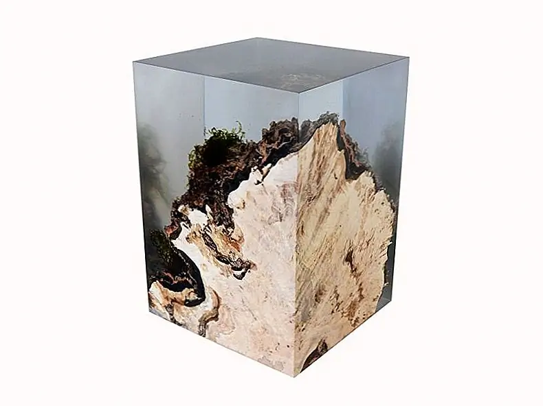 Коллекция подлеска представляет собой серию, состоящую из боковых столов и табуретов, изготовленных из комбинации дерева и смолы. Журналы, используемые алькаролом для создания этих кусков, извлекаются из подлеска итальянских Доломитовых гор, и они отлиты в смоле вместе с их корой и местными растениями. Таким образом, их красота сохраняется и увековечена, чтобы восхищаться и цениться в будущем.