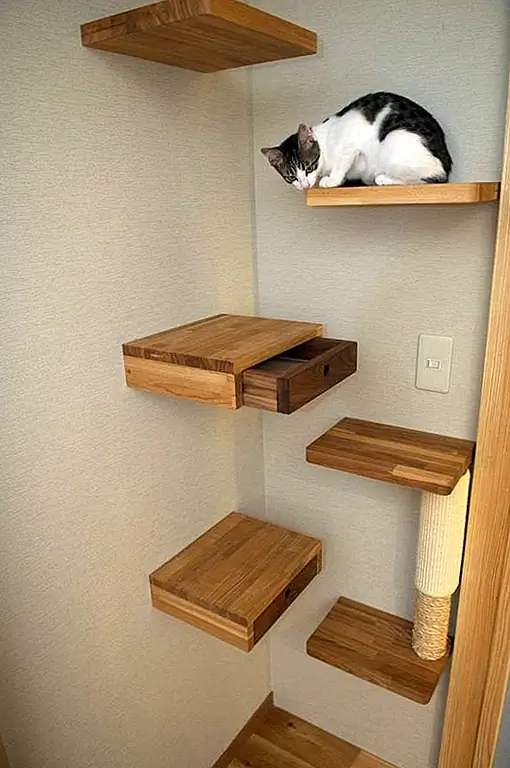 Кошки любят лезть на полки и мебель. Так что было бы неплохо, если бы вы могли найти уголок, где вы могли бы поставить полки, где ваша кошка могла бы сидеть и веселиться. И пока вы это делаете, вы также можете полностью использовать это пространство и спрятать некоторые ящики в полки. Вы можете хранить игрушки своей кошки там или даже ценные вещи.