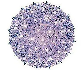 Вифлеемское освещение звездной сферы