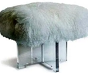 Игривая и пушистая монгольская овчарка