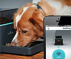 Лучшие 11 лучших гаджетов для дома, контролируемых смартфоном