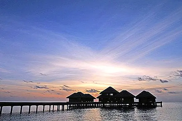 Посетители отеля вывезены на остров либо на катере, либо на гидросамолете, а затем они должны выбрать одно из 43 бунгало на суше или на суше. Сочетание современного стиля дизайна с мальдивским стилем присутствует во всех этих бунгало, и каждый из них имеет свой собственный бассейн или бассейн с пресной водой, плазменный телевизор и систему Bose Surround Sound. Все ваши несчастные моменты станут историей, и вы будет наслаждаться всем этим роскошным раем!