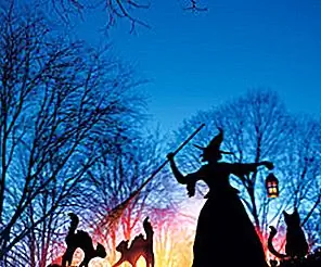 10 способов украсить ведьму Хэллоуина