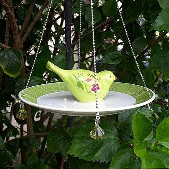 Поверните старую тарелку в кормушку для птиц и повесьте ее из ветки на заднем дворе или в саду. Если вы хотите, вы также можете украсить фидер и персонализировать его немного. Трудная часть делает отверстия для цепи или веревки, чтобы пройти.