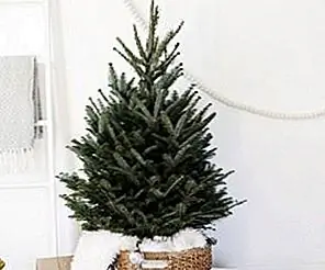 14 великолепных скандинавских гостиных, одетых на Рождество