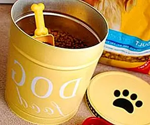 Поддержание собаки дома стильным и организованным - 10 советов