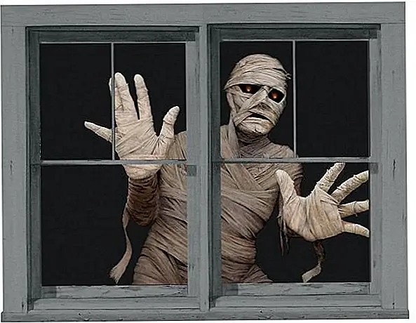 Вы всегда можете найти отличные оконные наклейки. Найдите то, что вам подходит, шлепните их по окнам и VOILA! мгновенный декор Хэллоуина!