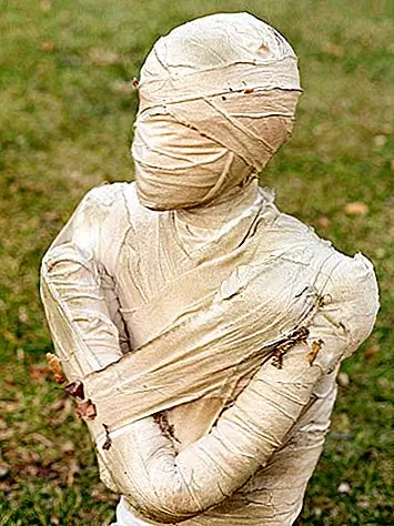 8 способов мумифицировать свой дом для Хэллоуина