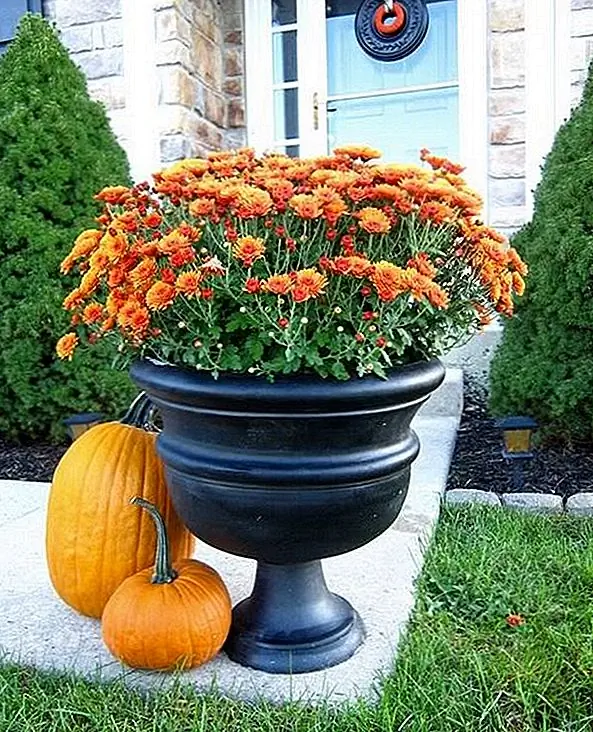 Не беспокойтесь, падение не только в деревенском стиле. Простой и изящный, вы можете создать забавный и праздничный декор с современным поворотом!