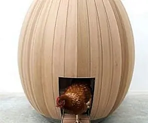 Современный курятник