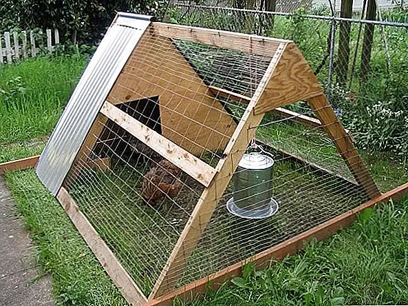 Сделай сам курятник