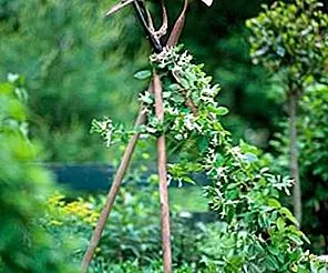 Несколько полезных идей, которые помогут вам превратить ваш сад в освежающий оазис