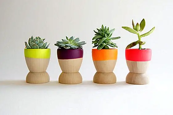 Если у вас мало места, эти мини-плантаторы идеальны. Они отлично подходят для небольших растений и кактусов. Каждый из них снабжен ярким цветом, а набор включает в себя четыре модели: розовый, желтый, оранжевый и фиолетовый. Цветная часть покрыта мягким резиновым пластиком, поэтому они также не скользят. Их размеры 2-1 / 8 "высотой x 1-11 / 16" wide.Available за 24 $.