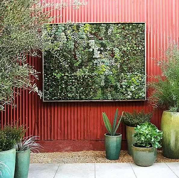 Вертикальный сад может помочь вам сэкономить много места, а также создать очень интересный предмет для вашего дома. В этом есть лоток 20 "x20", который содержит 45 скошенных клеток посадки. Эти клетки поддерживают растения и почву, однажды установленные на стене. Вы можете сделать свой собственный вертикальный сад, используя поддон. Доступно за 79 долларов.