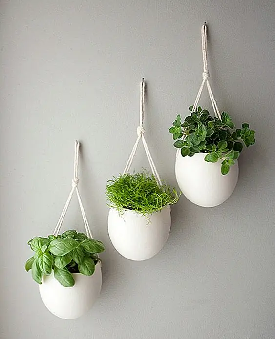 Пять крытых садовых идей для освежающего нового осени