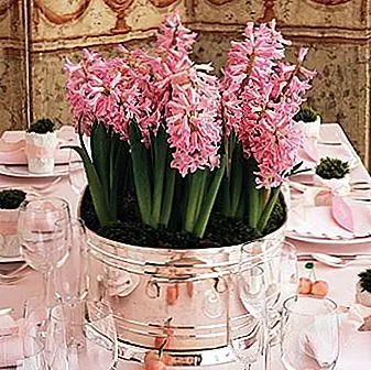 Гламурные настройки места: идеи и вдохновение