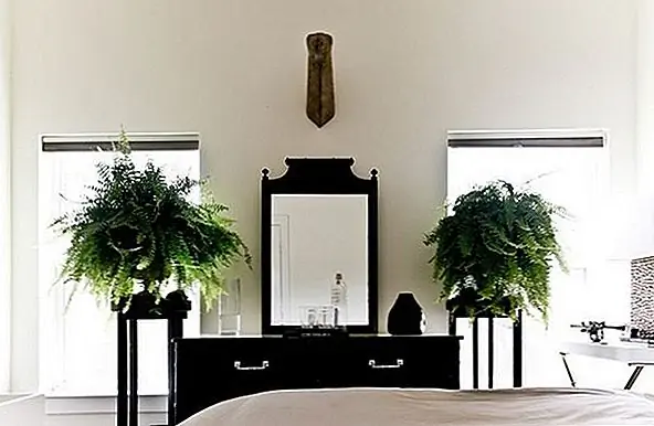 Горшечные растения не могут чувствовать себя ближе к природе, даже когда наши миры полностью разделены. Используйте свежие растения, чтобы активировать простой дизайн интерьера, очистить воздух и добавить цвет в нейтральный декор.