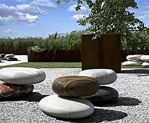 20 природных элементов для украшения дома