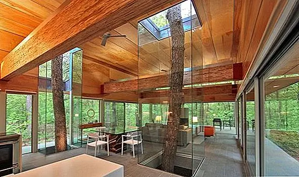Если вы серьезно относитесь к тому, чтобы включить природу в дизайн и декор вашего дома, то построили свой дом вокруг существующих деревьев на участке. Они могут быть фокусами для дизайна, заключены в стекло и пронизывают через крышу и палубу.