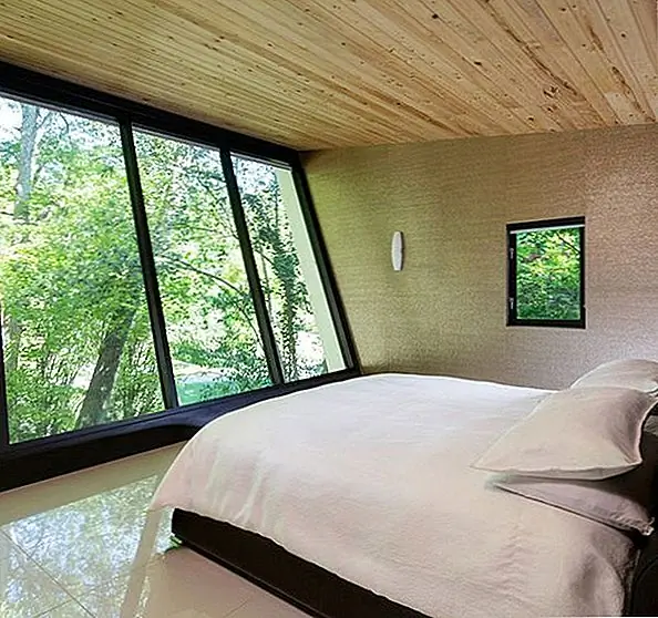 Как природа может помочь вам украсить свой дом