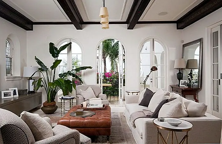 Еще одна прекрасная идея - иметь крупный горшечный завод, расположенный спереди или близко к окну. Он будет фильтровать свет, который входит в комнату, и это определенно понравится местонахождение, если это вид, который любит прямое солнце. Имейте в виду, что не все растения наслаждаются этим. Этот вид называется Strelizia nicolai и широко известен как гигантская белая райская птица или дикий банан.