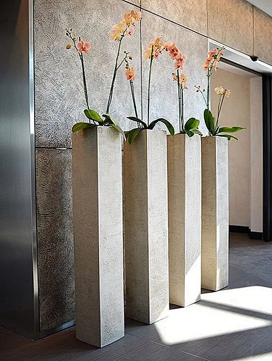 Если вы предпочитаете более простой и более чистый и скульптурный образ вашего дома, возможно, лучшим вариантом было бы просто уделять больше внимания плантаторам и просто выбирать растения, которые являются гладкими, нежными и очень простыми, чтобы дополнить внешний вид, ve выбран для пространства. Кажется, это хорошая идея дизайна для прихожей или входа.