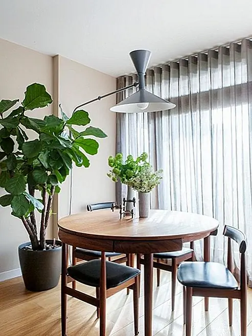 Столовая - еще одно прекрасное место для большого комнатного растения. Вы можете разместить его у окна или в углу комнаты. Это даст вам ощущение обеда в обстановке на свежем воздухе, что сделает пространство свежим и ярким. В декоре номера могут быть натуральные и натуральные цвета, такие как коричневый с серыми, белыми и черными акцентами.