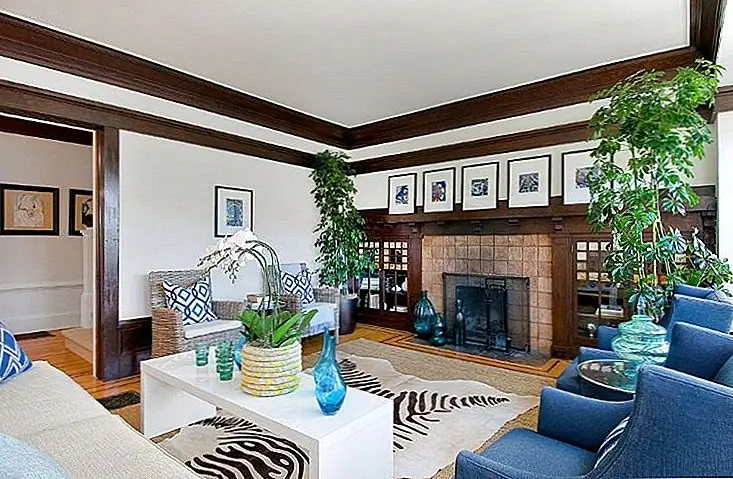 Как украсить высокими комнатными растениями