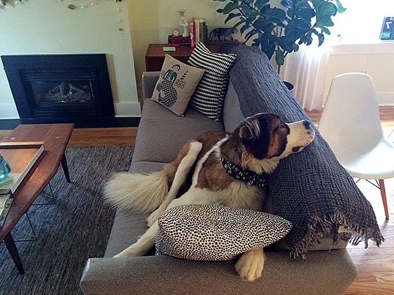 Другой вариант - сделать пасту из половины чашки 3% перекиси водорода, чашки выпечки соды и нескольких капель жидкости в чашке. Дайте ему посидеть, пока он не сохнет и не испарится.