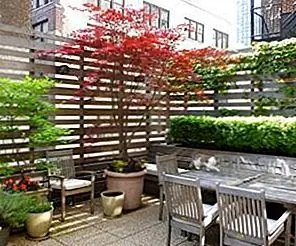 Как настроить наружные зоны с экранами конфиденциальности