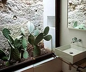 13 простых способов вывести на улицу внутри