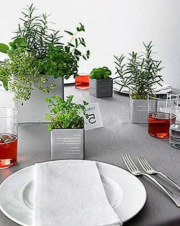 Для простого взгляда и очень приятного запаха попробуйте использовать травы вместо более дорогих цветов. Они яркие и изящные. Идеально подходит для завтрака, выходящего на задний двор. Поглощать их в некоторых кувшинах-масонах было бы идеальным прикосновением.