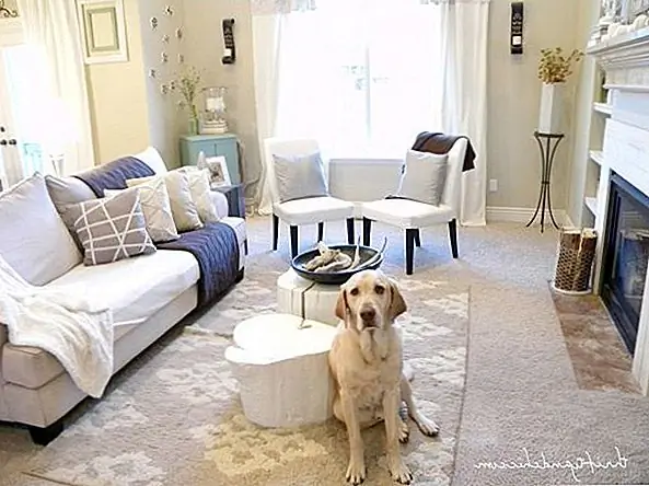 Входите в рутину. Как часть вашего утреннего пробуждения и округления, подметайте полы, чтобы они были свободны от собак и листьев, которые были затянуты лапами. Сложите одеяла, отложите игрушки и подметьте лишний кусочек на полу.