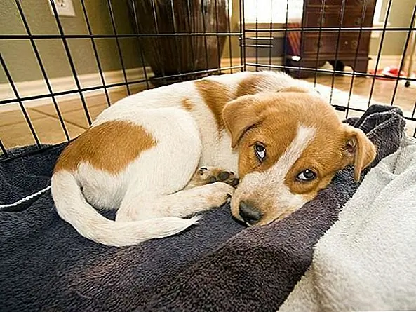 Как только уик-энд катится, заходите в свой ящик и чистите. Вымойте и сложите одеяла и вытрите нижнюю часть. Они будут освежены, и вы тоже.