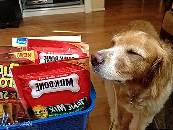 Удостоверьтесь, что вы держите все кости сыромятной кожи и жуете игрушки в безопасном месте. Косые кости содержат различные микробы и бактерии, поэтому, когда нет разжевывания, держите их подальше.